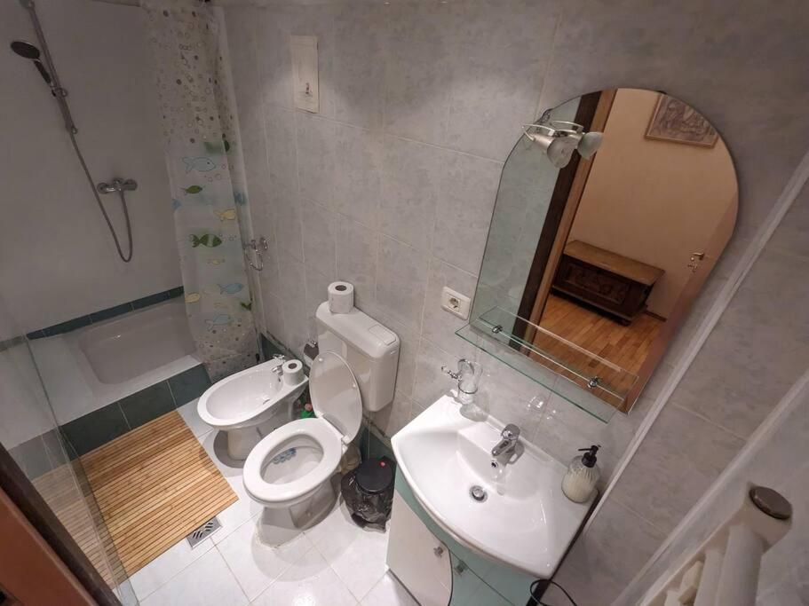 Boheme Central Apartment Timisoara Exterior photo